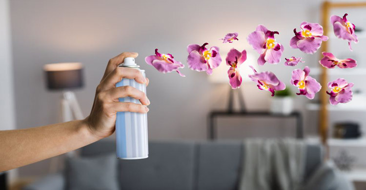 ঘর ভরে উঠুক প্রাকৃতিক সুবাসে