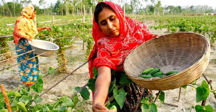 গ্রামীণ নারীদের অবদানকে স্বীকৃতি ও অধিকার সময়ের দাবি
