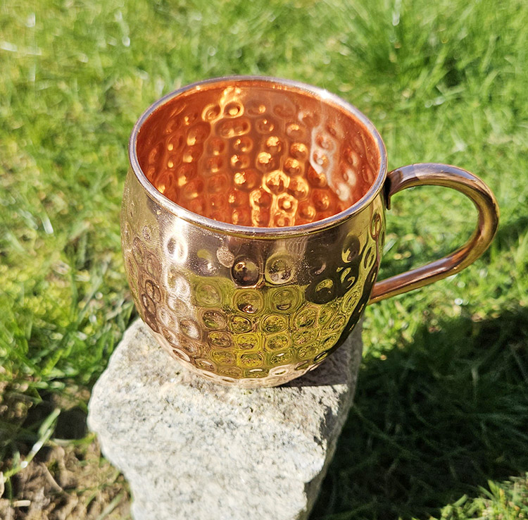 চুল কালো রাখতে তামার গ্লাসে পানি পান করতে পারেন