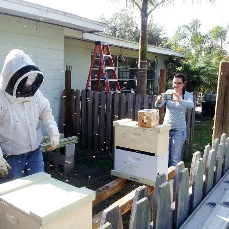 মৌমাছির কামড়ে মৃত্যু নয়, নতুন জীবন পান এলি