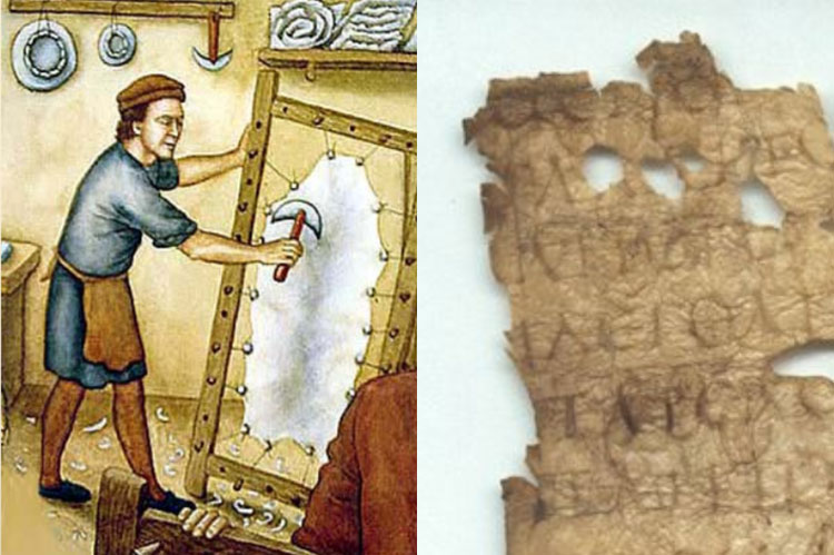 কাগজ শিল্পে, বই, ম্যাগাজিন, সংবাদপত্র, সভ্যতার, অফসেট কাগজ, ডুপ্লিকেটিং কাগজ, নিউজ প্রিন্ট, দেওয়াল, টিস্যু, টয়লেট, চোষ কাগজ, বই, খাতা, খাম, কার্ড, ফাইল কার্টুন, ব্যাগ, প্যাকেট, নোট, আদিকালে মানুষ, প্যাপিরাস, নলখাগড়া, পাণ্ডুলিপির অনুলিপি, তুঁতগাছের, পাট, কচুরিপানা, বাঁশ,আঁশ, কাঠ, তুলা, আখের ছোবরা, শন, ধান ও গমের বিচালী, রাষ্ট্রায়ত্ত, কাঁচামাল