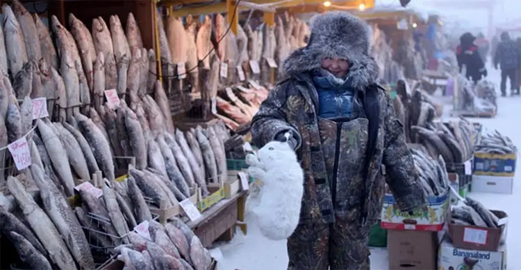 সাইবেরিয়ার তুষারপাতে কী কী হতে পারে জানেন?