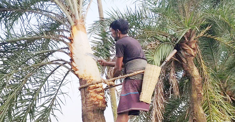 গ্রামের নান্দনিক শীতকাল
