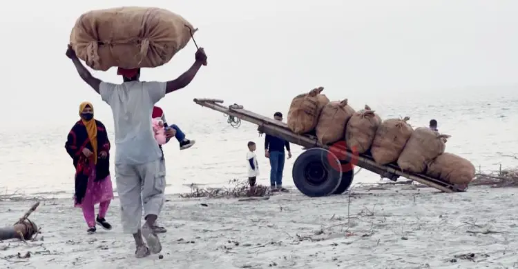 &lsquo;সাহেব সিন্ডিকেট&rsquo; ছাড়া দুবলার চরে শুঁটকি বিক্রি মানা