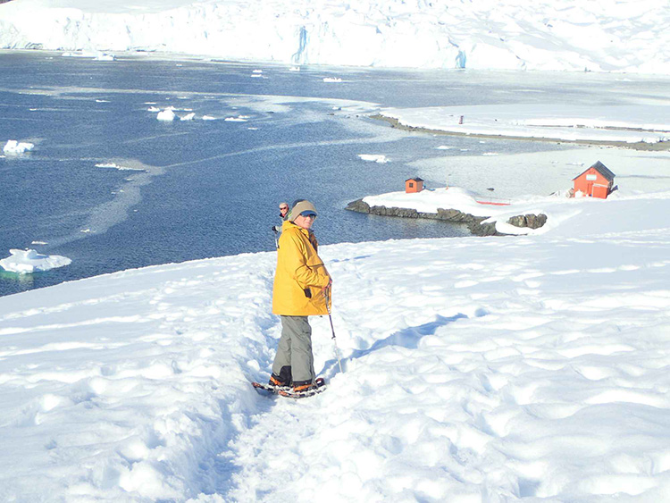 সাদা মরুভূমি অ্যান্টার্কটিকা: শীতের চরম বাস্তবতা