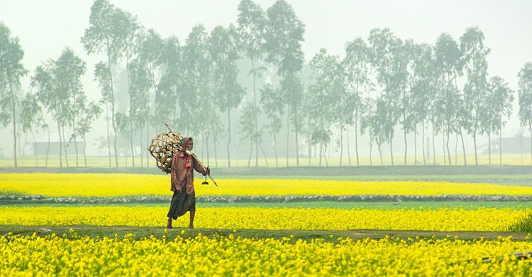 গ্রামের নান্দনিক শীতকাল