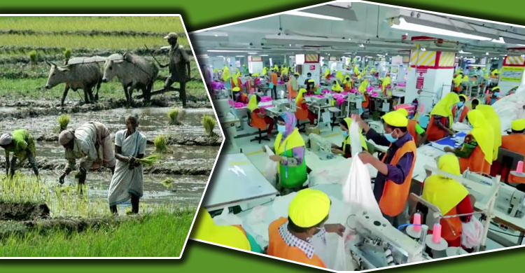 সেবা-কৃষি খাতে মজুরি কমেছে, অপরিবর্তিত শিল্পে