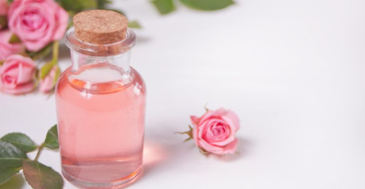 শুধু ত্বক না, চুলের যত্নও হবে গোলাপ জল দিয়ে