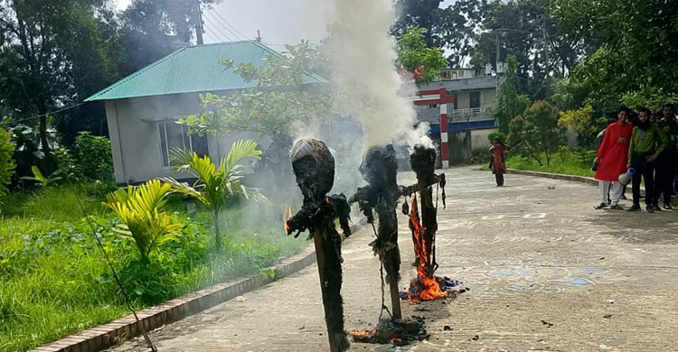 কমপ্লিট শাটডাউনে ১৮ দিন স্থবির শহীদ তাজউদ্দীন আহমদ নার্সিং কলেজ