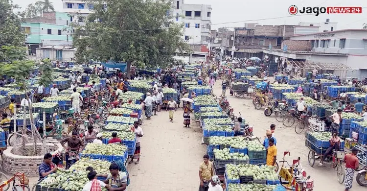 অনলাইন আম ব্যবসায়ীদের লাভের গুড় খাচ্ছে ফেসবুক বিজ্ঞাপন