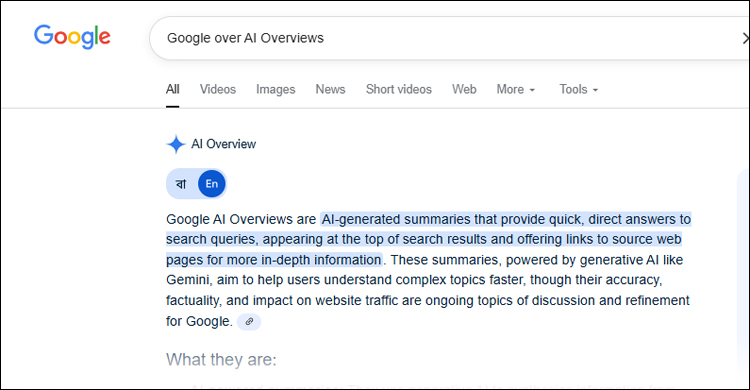 গুগলে এআই ওভারভিউ, লোকশানে লেখক-প্রকাশকরা