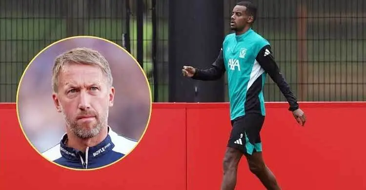 জাপানের বিপক্ষে ‘ফাইনাল’ ম্যাচে কোন তারকার দিকে তাকিয়ে সুইডেন?