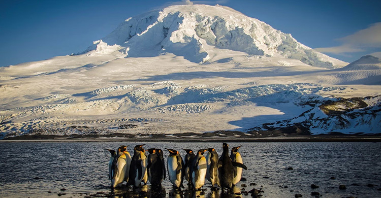 ট্রাম্পের শুল্ক থেকে ছাড় পেলো না জনমানবহীন দ্বীপও