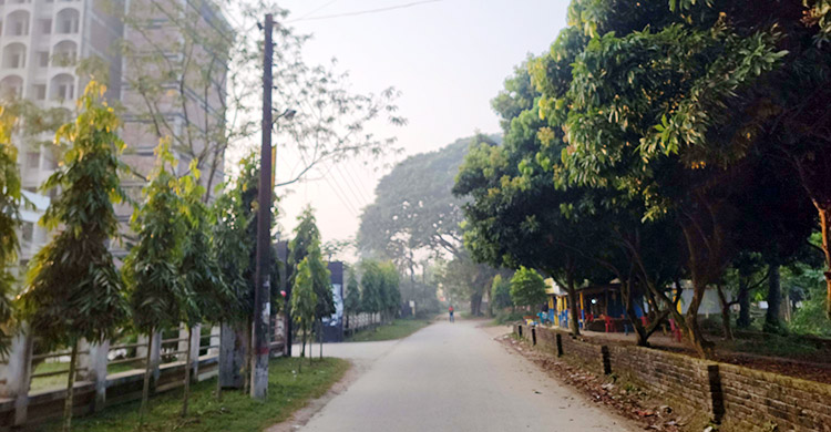 হেমন্তের কুয়াশায় ঘুরে দেখুন বর্ণিল ইবি