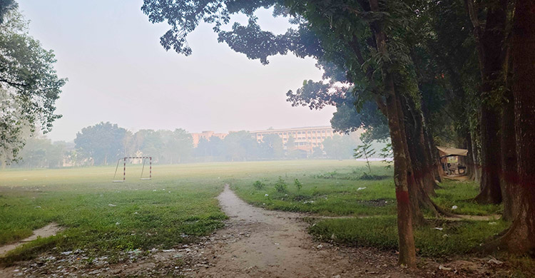 হেমন্তের কুয়াশায় ঘুরে দেখুন বর্ণিল ইবি