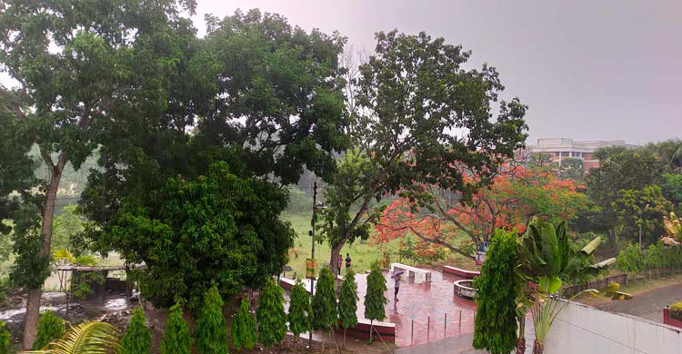 বৃষ্টিতে মাতলেন ইসলামী বিশ্ববিদ্যালয়ের শিক্ষার্থীরা
