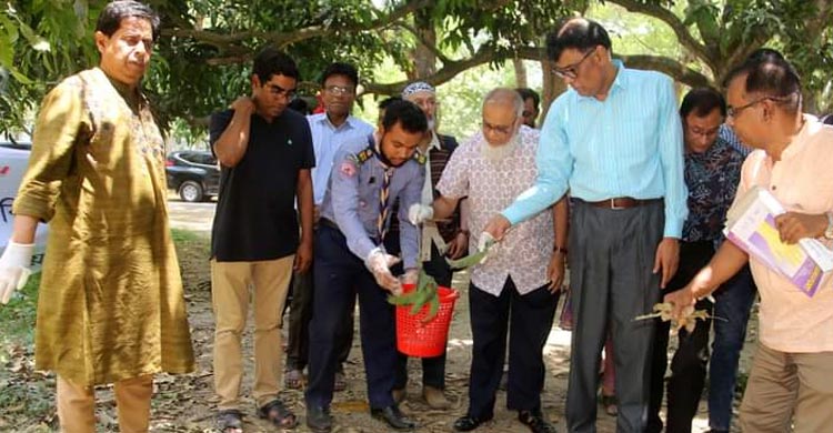 ইবিতে উপাচার্যের নেতৃত্বে ক্যাম্পাসে পরিচ্ছন্নতা অভিযান