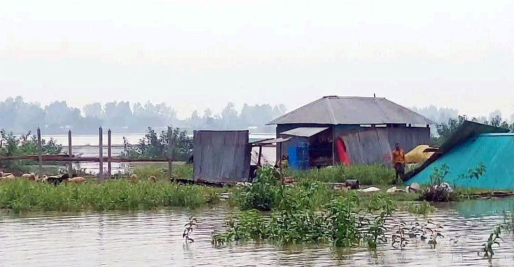 বাড়ছে যমুনার পানি, বিলীন দেড় শতাধিক ঘরবাড়ি
