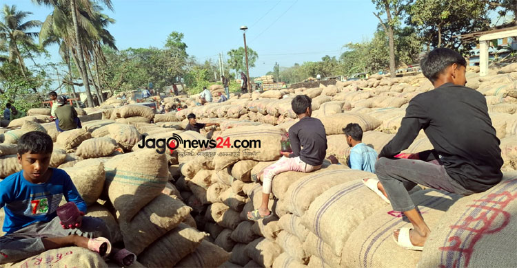 ‘ব্যবসায়ীদের দখলে’ হিমাগার, ভাড়া কমলেও কমেনি ভোগান্তি