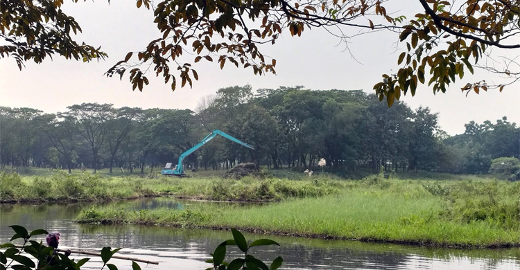 পরিযায়ী পাখির জন্য জাবিতে লেকের সংস্কার কাজ শুরু