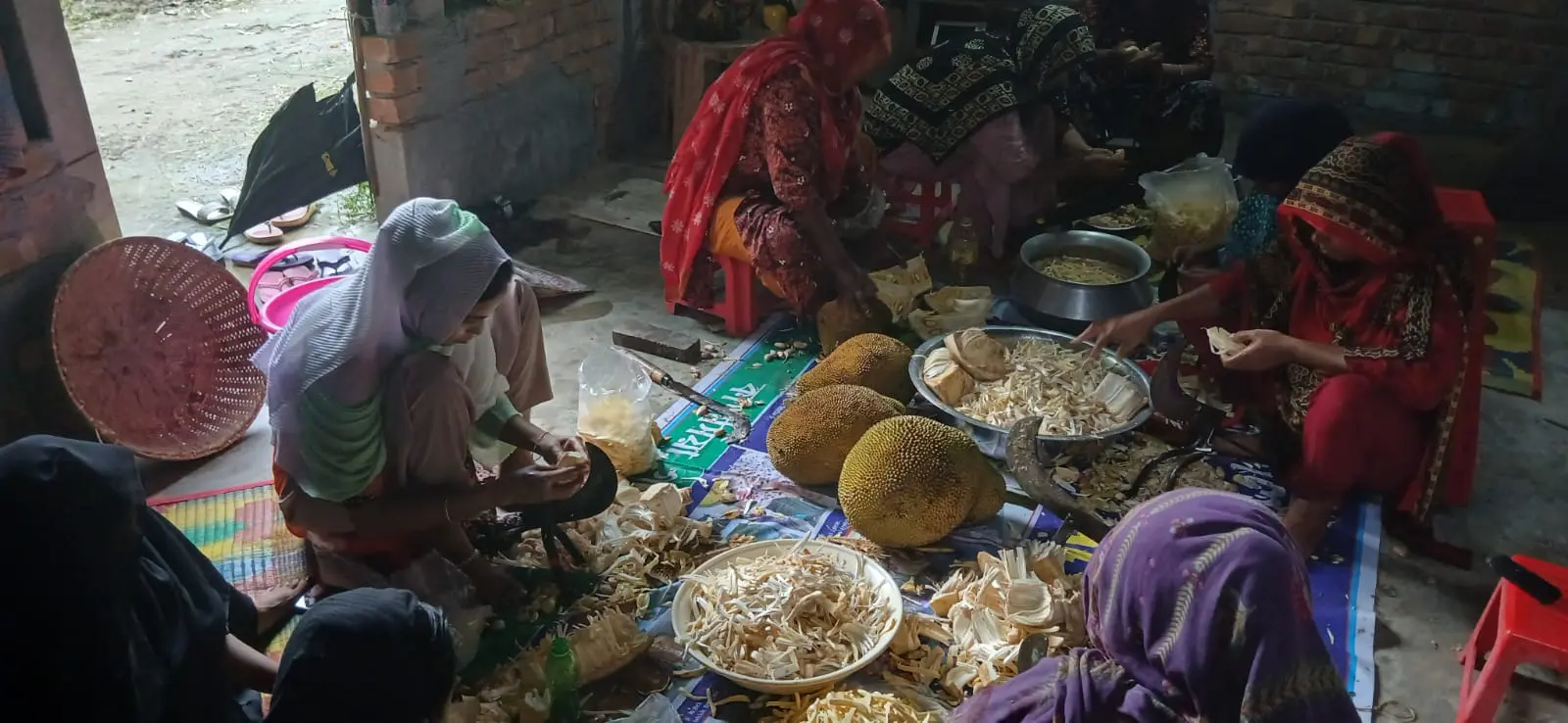 ফল প্রক্রিয়াজাতে প্রশিক্ষণ আছে, নেই পর্যাপ্ত যন্ত্রপাতি সহায়তা