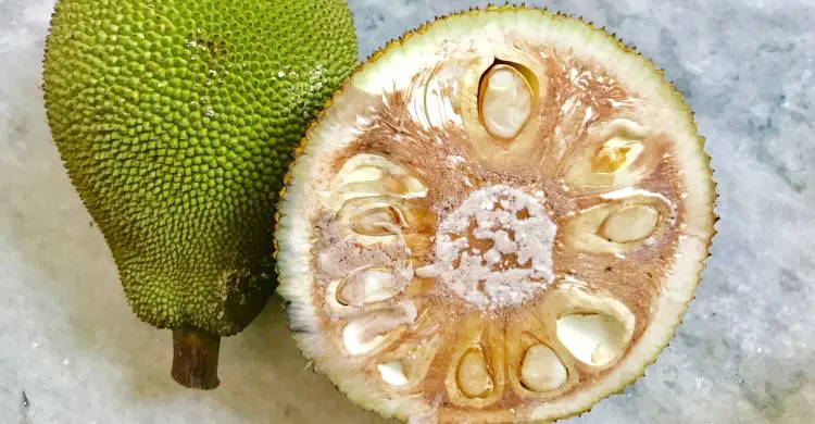 কাঁচা কাঁঠাল কেন খাবেন