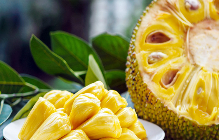 গরমে কাঁঠাল খাওয়ার আগে যা জানা জরুরি