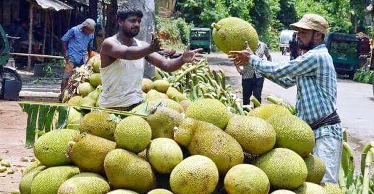 গরমে কাঁঠাল খাওয়ার আগে যা জানা জরুরি