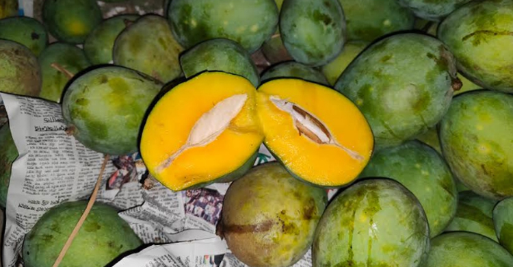 সাতক্ষীরায় রাসায়নিক দিয়ে পাকানো আড়াই টন আম জব্দ