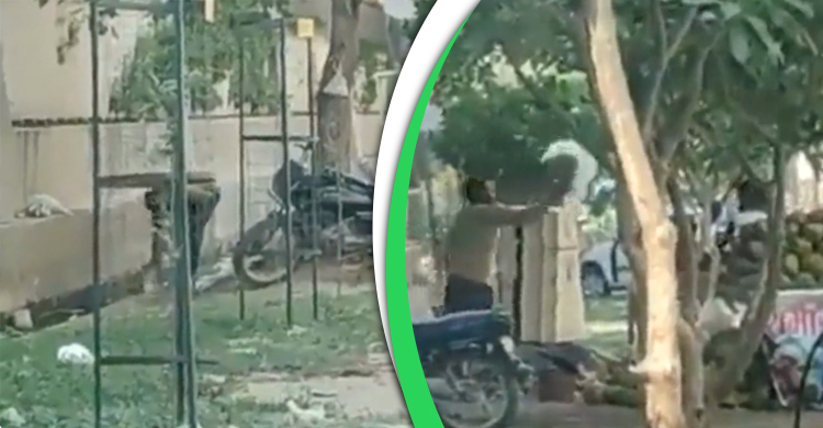 ডাবের ওপর ছিটানো হচ্ছে ড্রেনের পানি, ভিডিও ভাইরাল