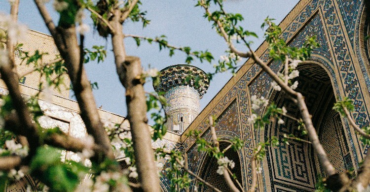 গাছ লাগানোর গুরুত্ব ও ফজিলত