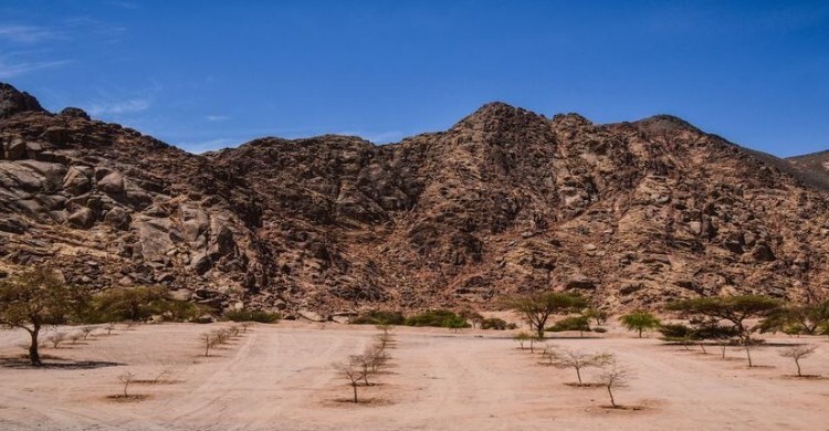 শহীদ হওয়ার আগে আব্দুল্লাহ ইবনে আমরের (রা.) স্বপ্ন