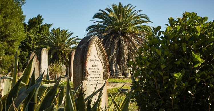 কবরে খেজুর গাছের ডাল পুঁতে দেওয়া, ইসলাম কী বলে?