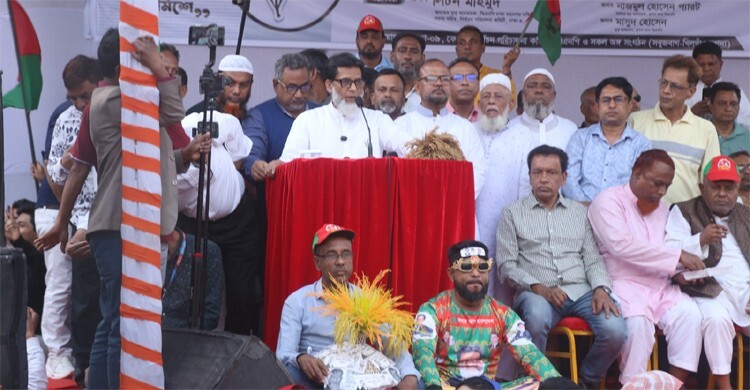 প্রতিহিংসা নয়, নাগরিক অধিকার নিশ্চিত করাই বিএনপির লক্ষ্য: হাবিব