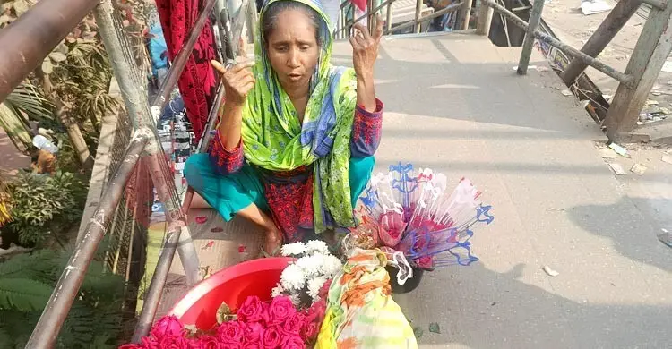 জামায়াত আমিরের আসনে ৪৯ শতাংশই নারী ভোটার, হাড্ডাহাড্ডি লড়াইয়ের আভাস