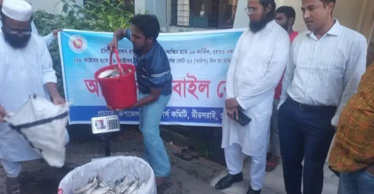 মিরসরাইয়ে জব্দ করা ৩৯৫ কেজি ইলিশ গেলো এতিমখানায়