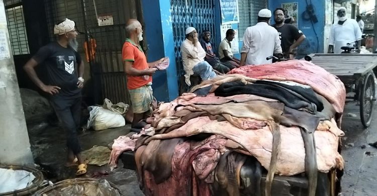 চামড়া সংগ্রহ ঘিরে কর্মব্যস্ত পোস্তা, দাম নিয়ে পরস্পরবিরোধী বক্তব্য