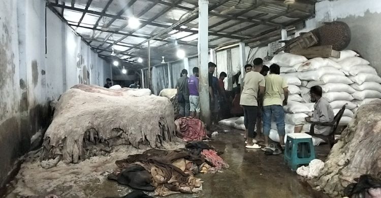 চামড়া সংগ্রহ ঘিরে কর্মব্যস্ত পোস্তা, দাম নিয়ে পরস্পরবিরোধী বক্তব্য
