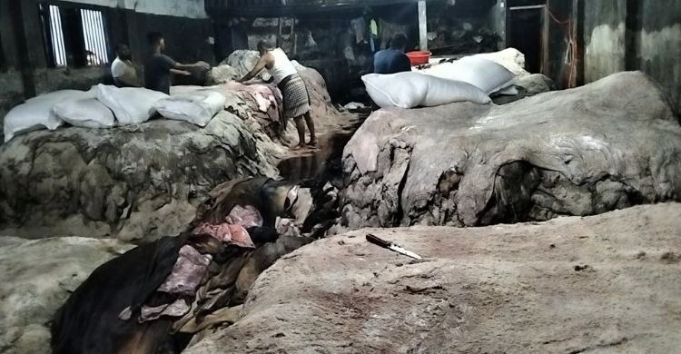 চামড়া সংগ্রহ ঘিরে কর্মব্যস্ত পোস্তা, দাম নিয়ে পরস্পরবিরোধী বক্তব্য