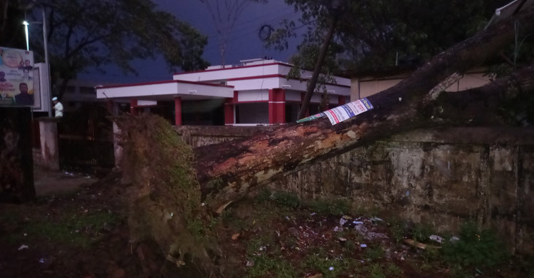 মৌলভীবাজারে বৃষ্টির সঙ্গে কালবৈশাখী, আহত ১