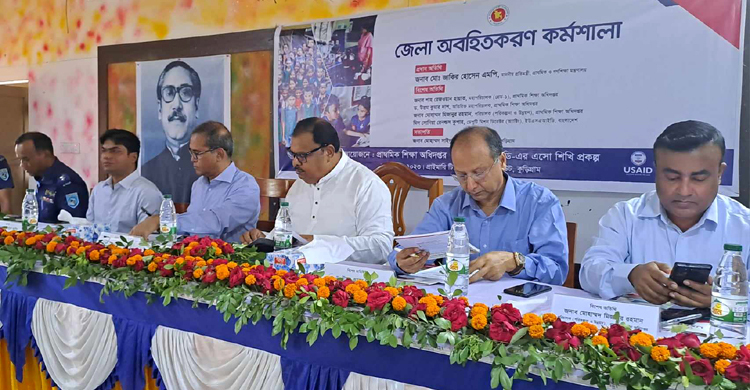 মাতৃভাষা ছাড়া শিক্ষার ভিত নির্মাণ করা যায় না: প্রতিমন্ত্রী