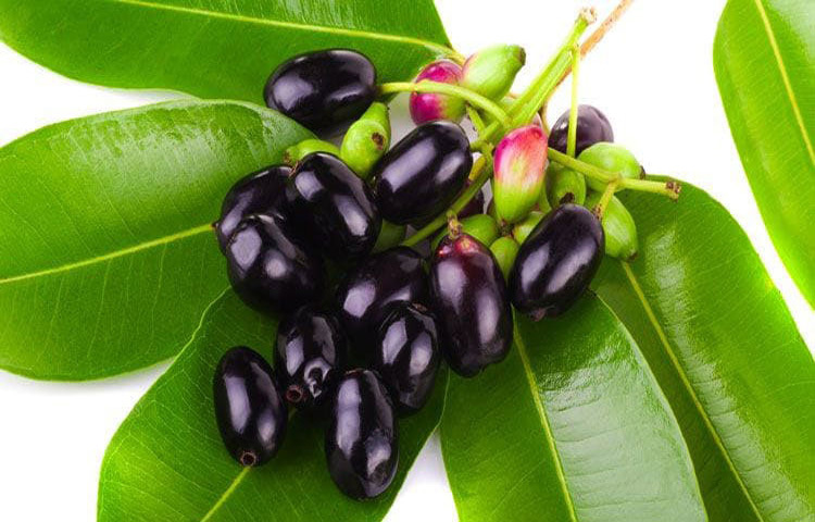 যেসব উপকার মিলবে জাম খেলে