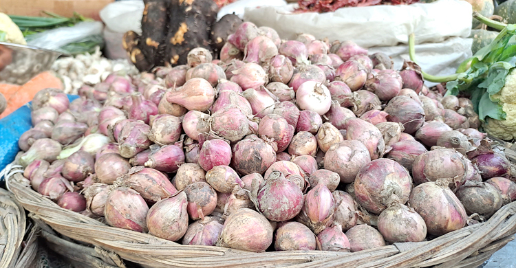 জামালপুরে নতুন পেঁয়াজ ১৭০ টাকা কেজি, পুরোনো ২২০