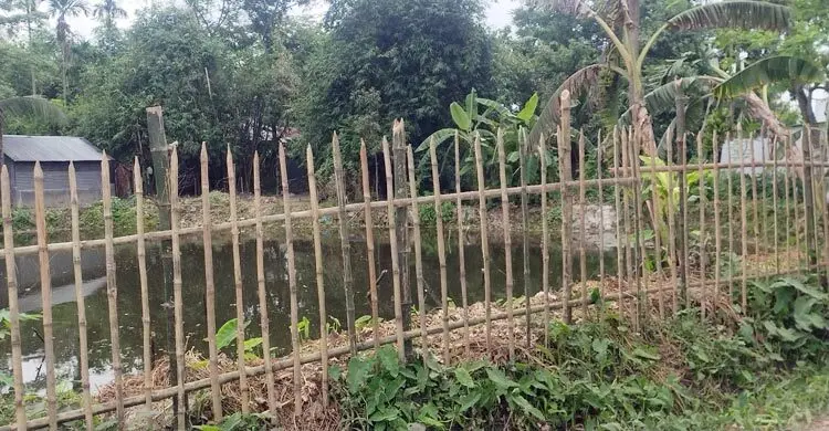 জামালপুরে ৮ মাসের শিশুকে হত্যার অভিযোগ মায়ের বিরুদ্ধে
