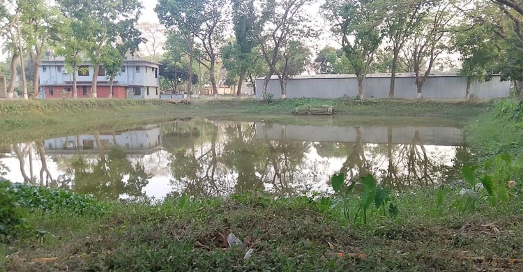 জামালপুরে পানি উন্নয়ন বোর্ডের সরকারি পুকুর থেকে মাছ চুরির অভিযোগ উঠেছে এক বিএনপি নেতার বিরুদ্ধে