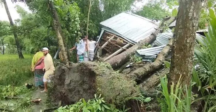 জামালপুরে ঝড়ে ঘরের ওপর গাছ পড়ে মা ও দুই মেয়ে নিহত