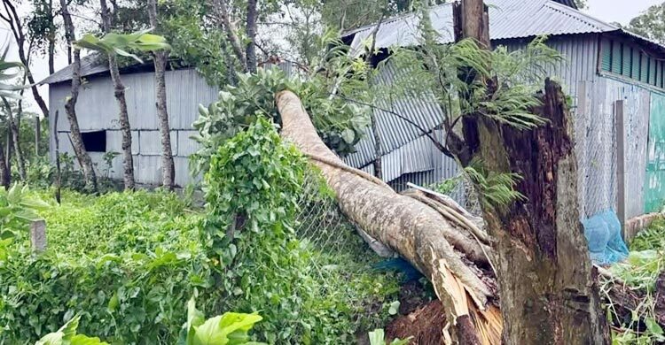 ২৪ ঘণ্টা বিদ্যুৎহীন মাদারগঞ্জবাসী
