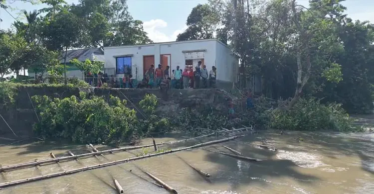 যমুনার গ্রাসে বিলীন অর্ধশতাধিক বসতভিটা