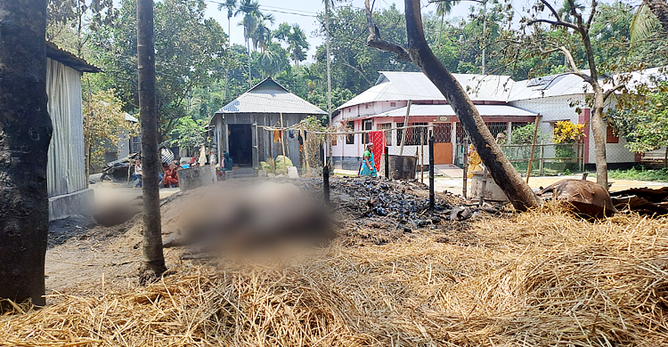 কয়েলের আগুনে পুড়লো কৃষকের ৫ গরু