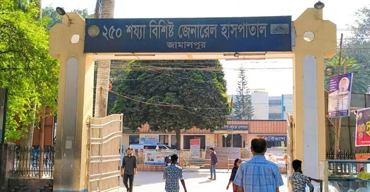 কোরবানি হাটে মহিষের আক্রমণে নিহত ২